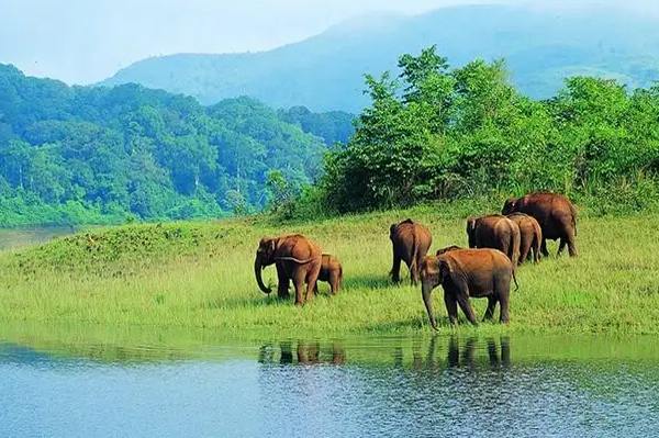 Top Tempo Travellers On Rent in Alappuzha